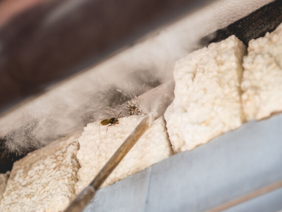 Aanvragen Wespenverdelging